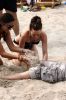 Filename=mbeach-209.jpg
Filesize=1180KB
Dimensions=2336x3504
Date added=Jul 13, 2007 mbeach-209.jpg