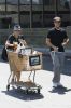 groceries-002.jpg