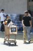 groceries-008.jpg