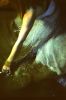 reachout-005.jpg
